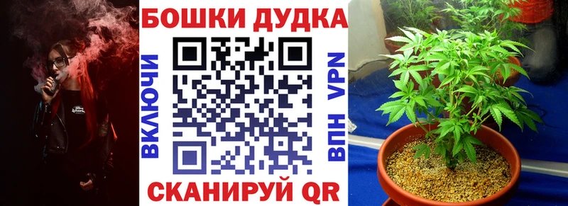 закладки  Великий Устюг  Шишки марихуана VHQ 